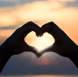 维多利亚老品牌vic(集团)官方网站