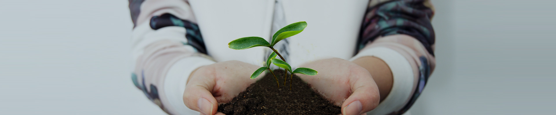 关于维多利亚老品牌vic